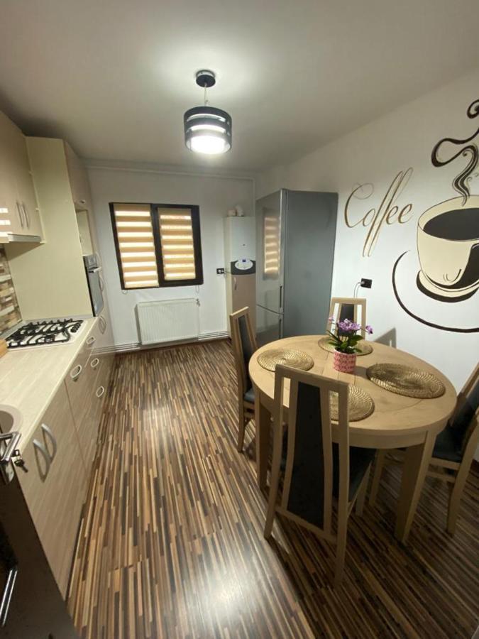 Apartament Exclusive Targu Ocna 외부 사진